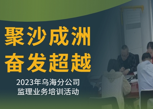 聚沙成洲 奋发超越--2023年乌海分公司监理业务